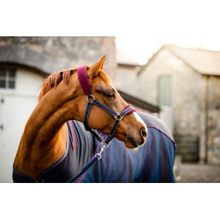 Chemise séchante pour cheval Rambo Sport Horseware