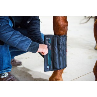 Guêtres Ice Vibe massantes pour cheval Horseware