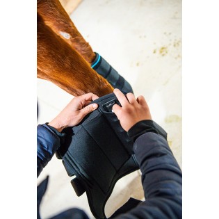 Guêtres Ice Vibe massantes pour cheval Horseware