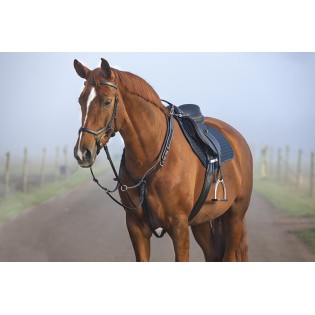 Collier de chasse pour cheval Rambo Micklem Horseware