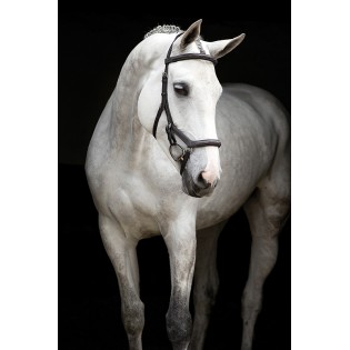 Filet Micklem Deluxe Competition Horseware