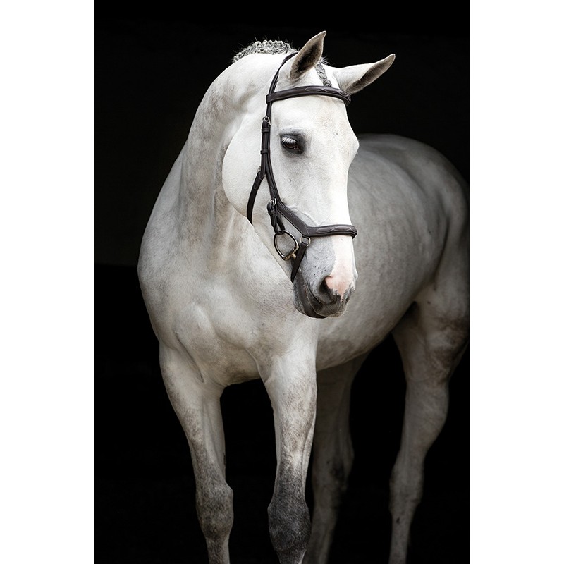 Filet Micklem Deluxe Competition Horseware Filet Micklem Deluxe Competition Horseware