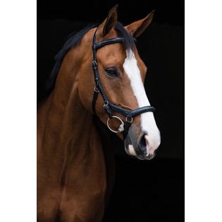 Filet Micklem Deluxe Competition Horseware