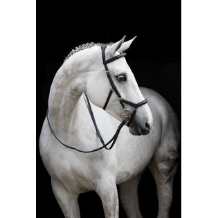 Filet Micklem Deluxe Competition Horseware