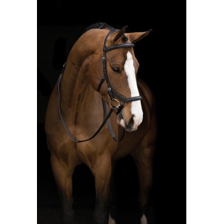 Filet Micklem Deluxe Competition Horseware