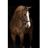 Filet Micklem Deluxe Competition Horseware