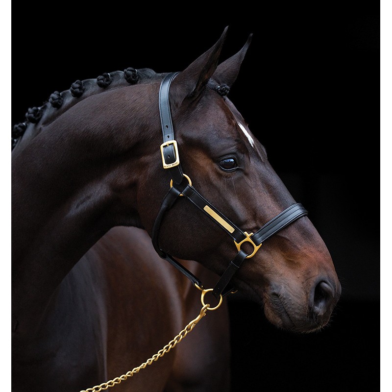 Licol Cuir Amigo Horseware - Cavaleurope