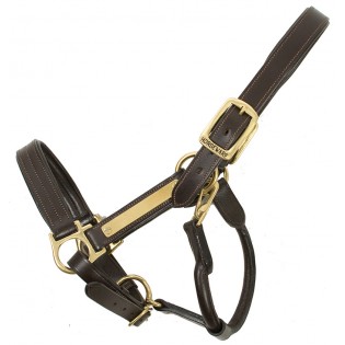 Licol Cuir Amigo Horseware - Cavaleurope