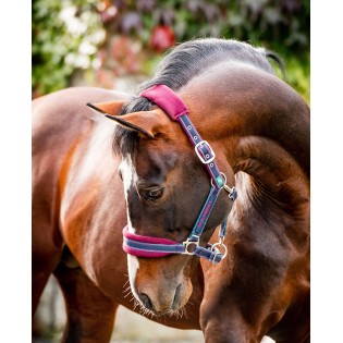 Licol doublé en polaire Rambo Horseware