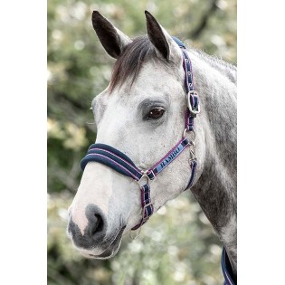 Licol Cuir Amigo Horseware - Cavaleurope