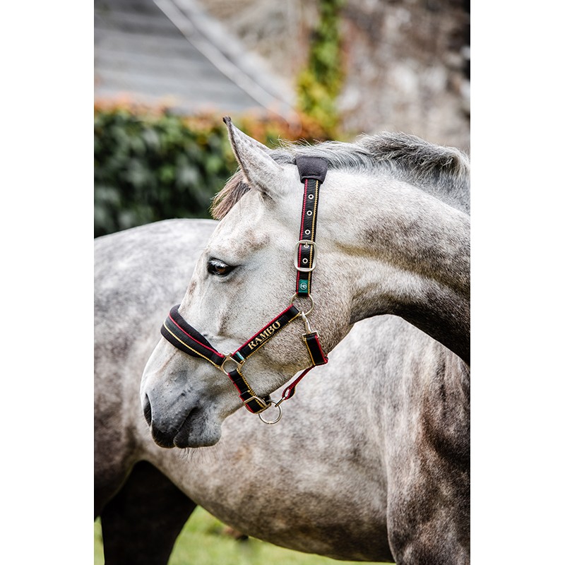 Licol doublé en polaire Rambo Horseware Licol doublé en polaire Rambo Horseware