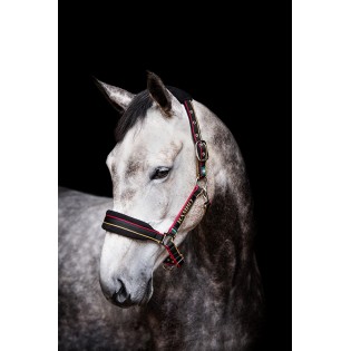 Licol doublé en polaire Rambo Horseware