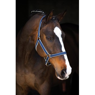 Licol en Nylon Amigo Horseware