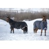 Couverture extérieur cheval Amigo Super Bravo 12 en 2520 D Horseware