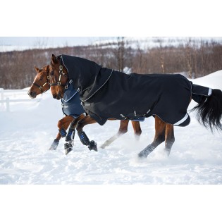 Couverture extérieur cheval Amigo Super Bravo 12 en 2520 D Horseware