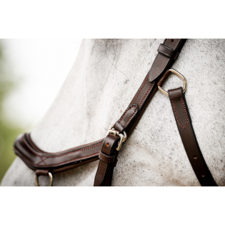 Licol Cuir Amigo Horseware - Cavaleurope