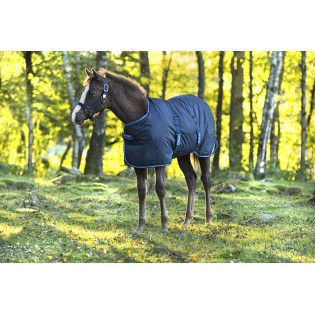 Couverture poulain imperméable Amigo Horseware