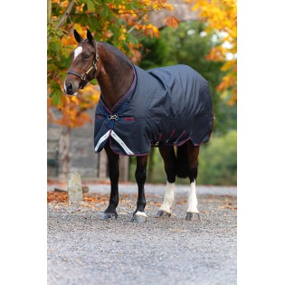 Couverture Cheval large Amigo Horseware